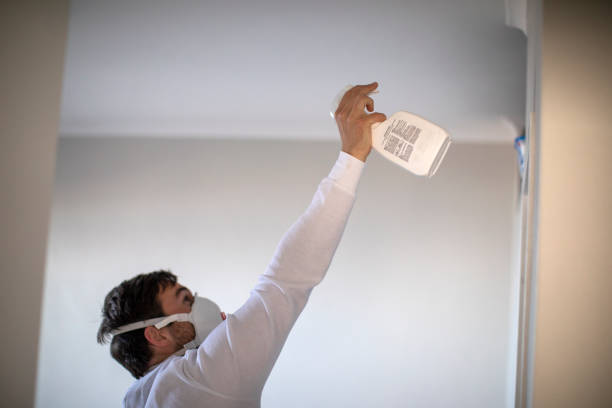 Best Black Mold Removal  in Myersville, MD