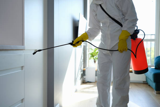 Best Mold Damage Repair  in Myersville, MD