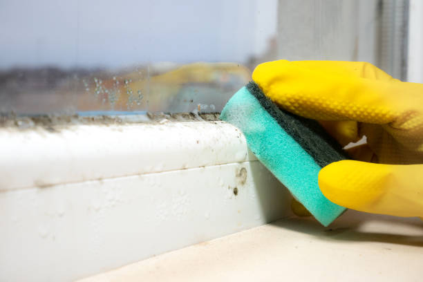 Best Residential Mold Removal  in Myersville, MD