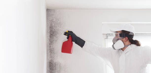 Best Office Mold Removal Services  in Myersville, MD