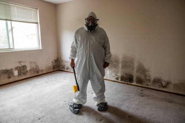 Trusted Myersville, MD Mold Removal Experts